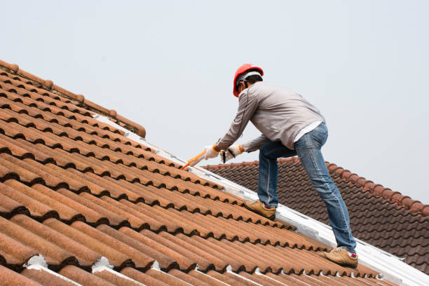 Best Roofing for New Construction  in USA